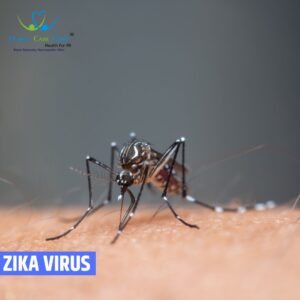 Zika Virus